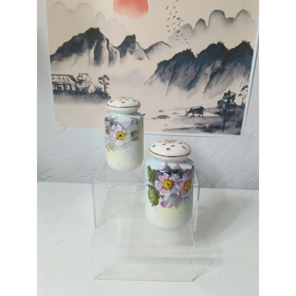 Meito Japan Porcelain Salt and Pepper Shakers ~Vintage~